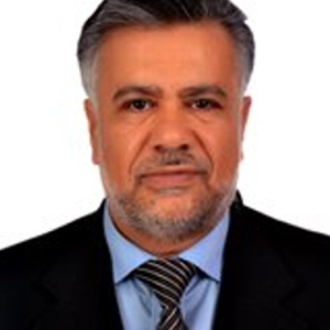 Professor Abdulsalam Ghaith